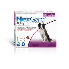 Nexgard Tick and Flea Treatment