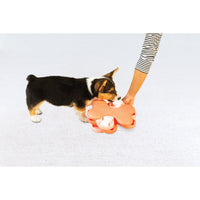 Nina Ottosson Puppy Tornado