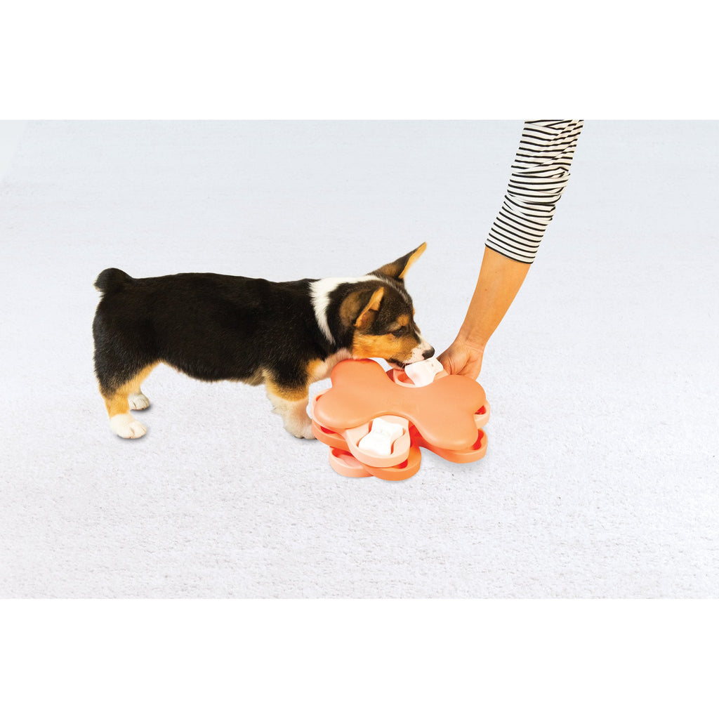 Nina Ottosson Puppy Tornado Pet Plus
