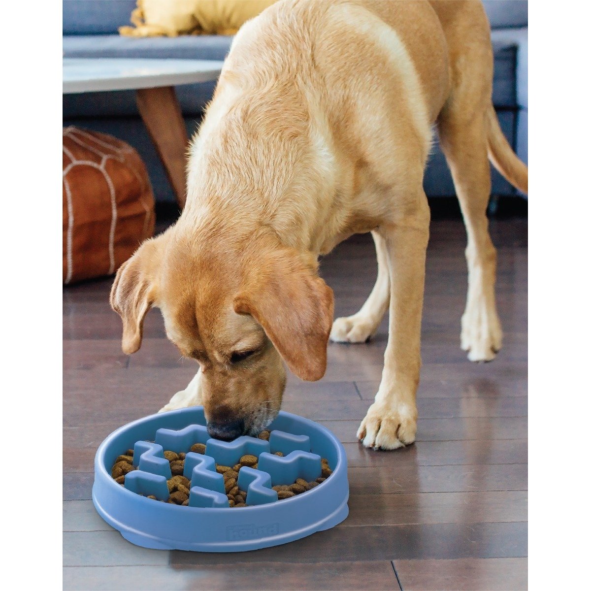 Outward Hound Fun Feeder Blue Pet Plus