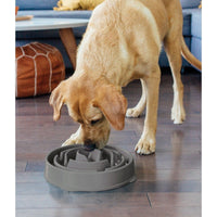 Outward Hound Fun Feeder Grey
