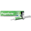 Pegaforte