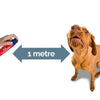 Pet Corrector Spray