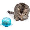 PetSafe Fishbowl - Cat Feeder Toy