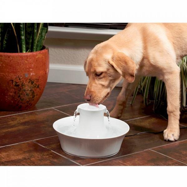 Petsafe Drinkwell Avalon Pet Fountain Litres Pet Plus