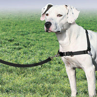 Petsafe Easy Walk Dog Harness Black