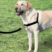 Petsafe Easy Walk Dog Harness Black
