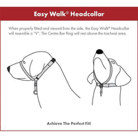 Petsafe Easy Walk Dog Headcollar/Headharness - Black