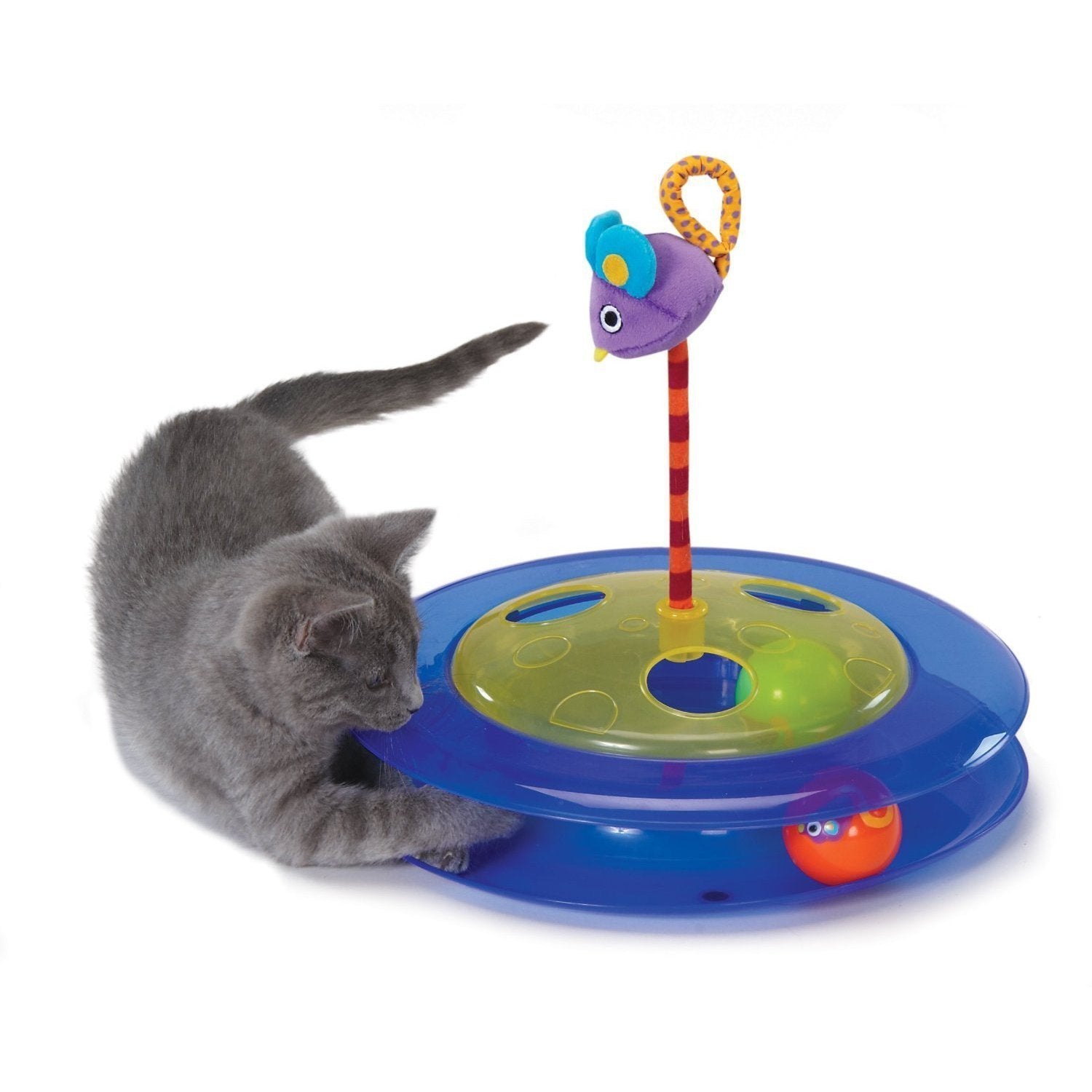 Petstages Cheese Chase Cat Toy Dougez Cheese Chase Interactive Cat