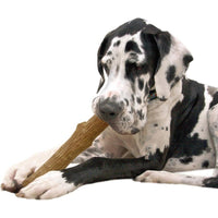 Petstages Durable Dogwood Stick Large