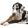 Petstages Durable Dogwood Stick Large
