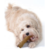 Petstages Durable Dogwood Stick Small