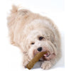 Petstages Durable Dogwood Stick Small