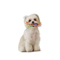 Petstages Mini Chew Starter Kit