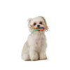 Petstages Mini Chew Starter Kit