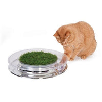 Petstages Nature Track