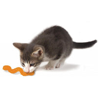 Petstages Orka Cat Wiggle Worm