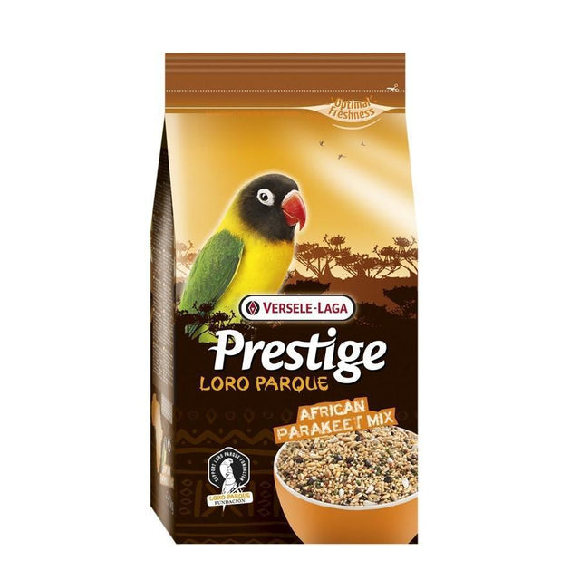 Prestige Premium African Parakeet