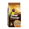 Prestige Premium African Parakeet
