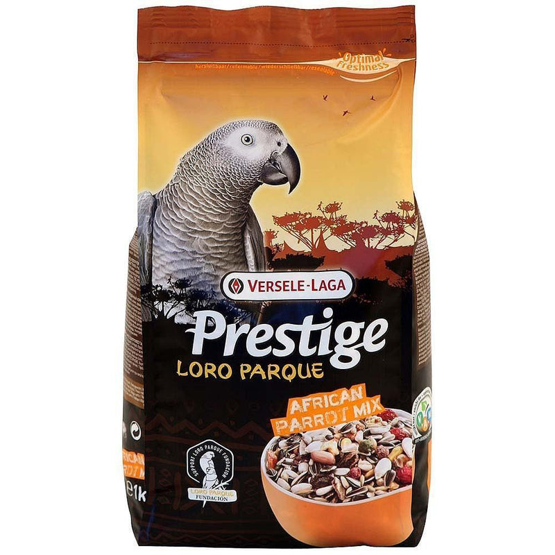 Prestige Premium African Parrot