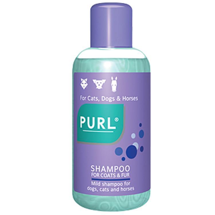 Purl Regular Shampoo