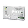 Pyo Clean Oto For Dogs - (Single)