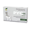 Pyo Clean Oto for Dogs (10 ampules)
