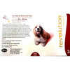 Revolution Dog 10 - 20kg Red (Box of 3)
