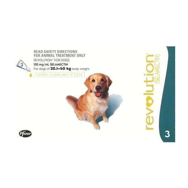 Revolution Dog 20 40kg Teal (Box of 3) Pet Plus