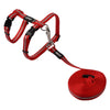 Rogz Alleycat Harness and Lead - Red