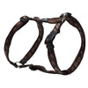 Rogz Alpinist H-Harness - Brown