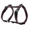 Rogz Alpinist H-Harness - Purple