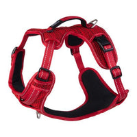 Rogz Explore Harness