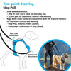 Rogz Explore Harness