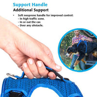 Rogz Explore Harness