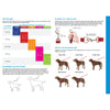 _Rogz Fancy Dress Fixed Lead - Pink Paw