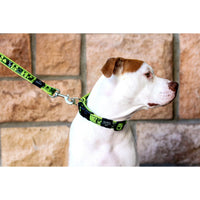 Rogz Fancy Dress Fixed Lead - Red Bone