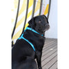 _Rogz Fancy Dress H-Harness - Pink Paw