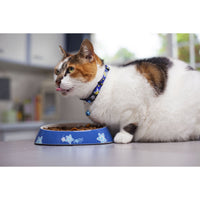 Rogz Fishcake Melamine Bowl - Blue Floral