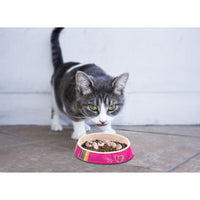 Rogz Fishcake Melamine Bowl - Candystripes