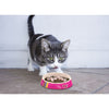 Rogz Fishcake Melamine Bowl - Candystripes