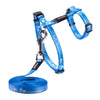 _Rogz Kiddycat Harness and Lead - Royal Birds