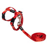 _Rogz Kiddycat Harness and Lead - Tango Fishbone
