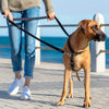 Rogz Utility Control Multi Lead - Black