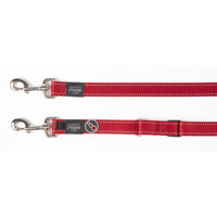 Rogz Utility Control Multi Lead - Blue