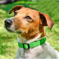 Rogz Utility Side Release Collar - Black