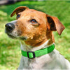 Rogz Utility Side Release Collar - Lime