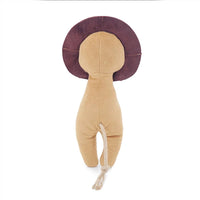 Rosewood ECO Friendly Lion