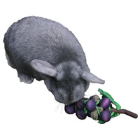 Rosewood Grape N Gnaw
