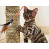 Rosewood Oregano Cat Scratcher